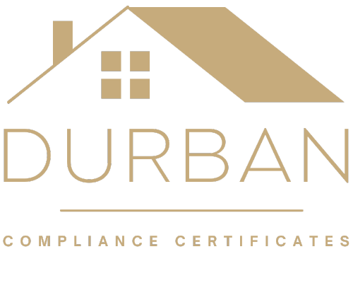 Logo Transparent